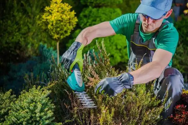 landscaping services Bellbrook